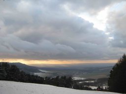 silvestr 2011